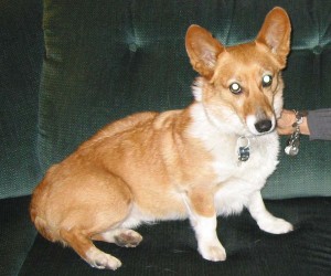Rudy900